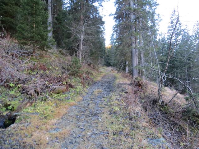 der Weg wird zum Weglein. Es steigt und steigt