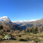 sehr schönes Breitbildfoto mit Blick zum Pizzo Tambo, Guggernüll und das Hinterrheintal