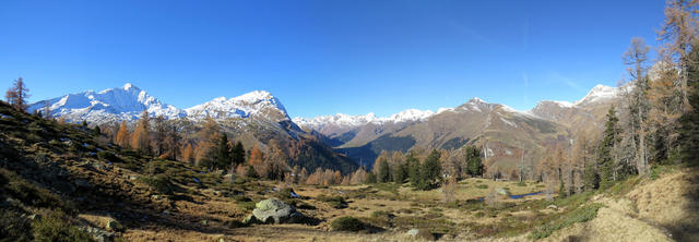 sehr schönes Breitbildfoto mit Blick zum Pizzo Tambo, Guggernüll und das Hinterrheintal