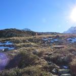 auf dem Weg zur Wegkreuzung bei Punkt 2066 m.ü.M.