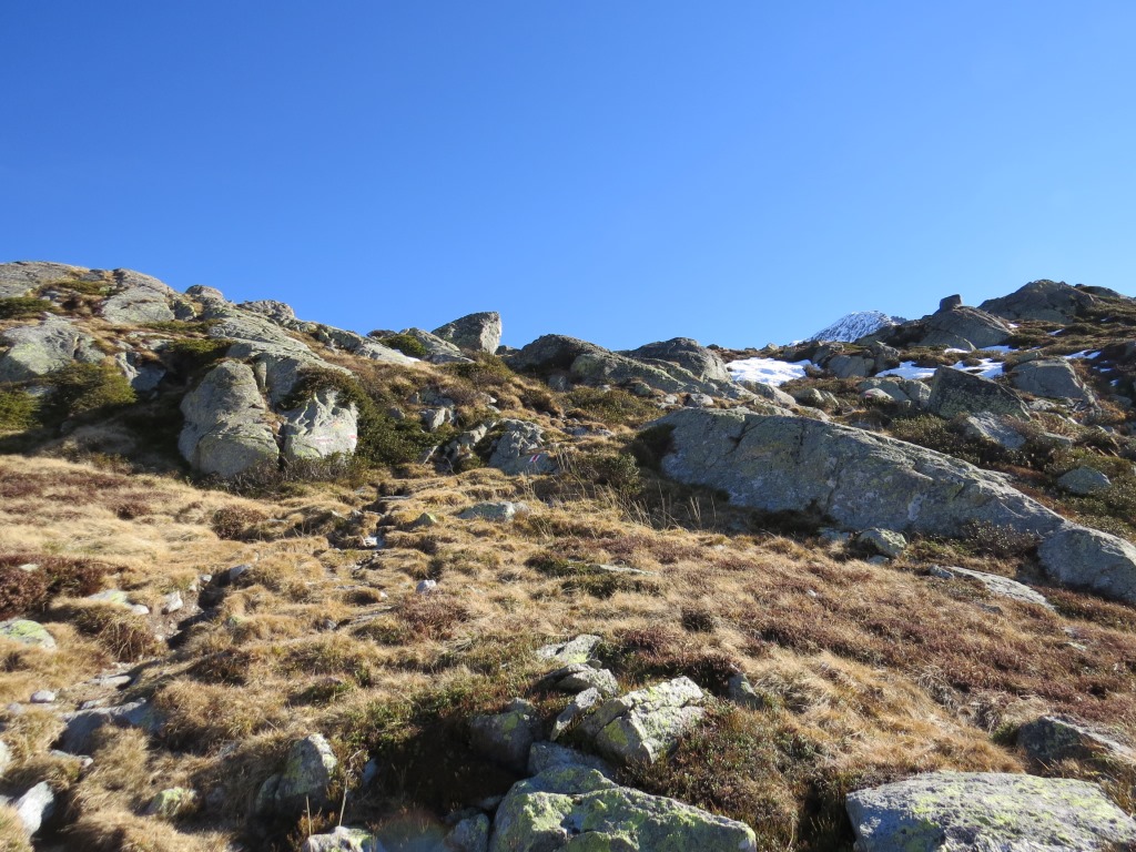 der Weg wird zunehmender steiniger und es steigt auch wieder mehr an