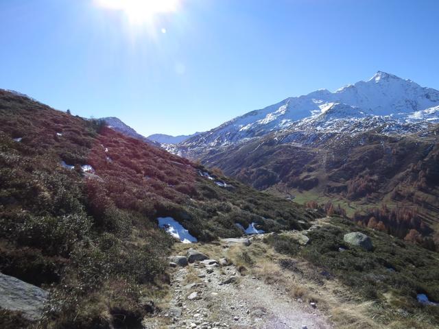 ...Alpweg über die Alpböden der Räzünscher Alpen 1921 m.ü.M.