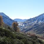 Blick auf die Splügenpassstrasse und den gleichnamigen Pass