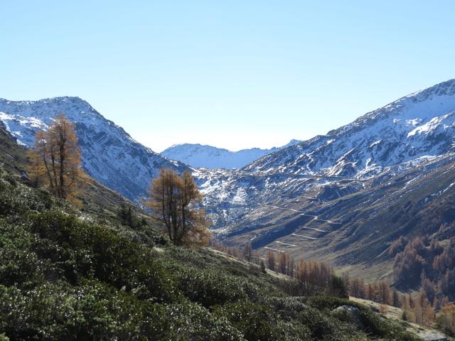 Blick auf die Splügenpassstrasse und den gleichnamigen Pass