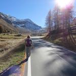 ein kurzes Stück wandern wir der Passstrasse hoch