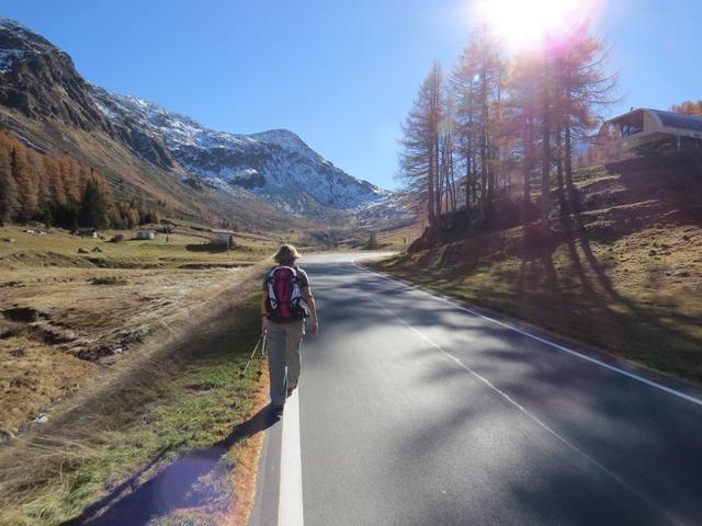 ein kurzes Stück wandern wir der Passstrasse hoch