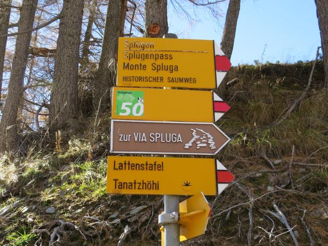 ...zur Talstation Bodmastafel 1784 m.ü.M. vom Schlepplift hoch