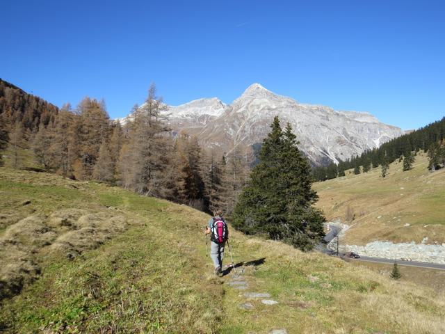 rechts von uns rauscht der Hüscherenbach. Gegenüber verläuft die Passstrasse