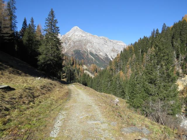 ...und wandern nun mehr oder weniger am Bach entlang...