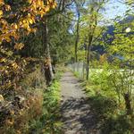 über die Compognastrasse und dem Silserweg laufen wir zum Sportplatz Rheinau