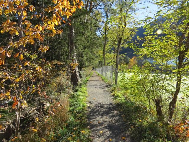 über die Compognastrasse und dem Silserweg laufen wir zum Sportplatz Rheinau