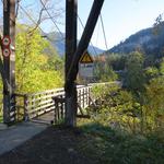 beim Sportplatz Rheinau erreichen wir bei Punkt 672 m.ü.M. die Hängebrücke