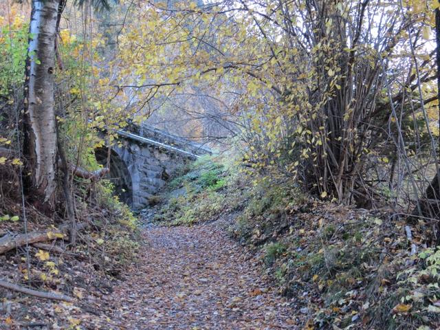 der Wanderweg führt uns nun durch den Wald leicht aufwärts...