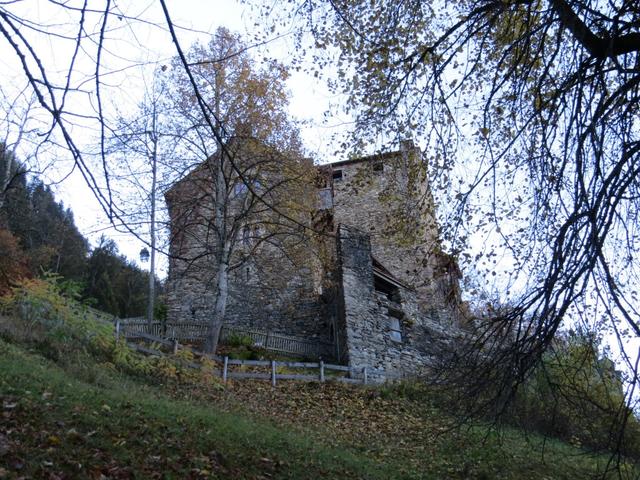 ...zur Burg Ehrenfels 761 m.ü.M.