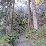 bei der Wegkreuzung biegen wir links ab