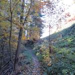 der schmale Waldpfad führt nun aufwärts zu der Burganlage Hohen Rätien 947 m.ü.M.