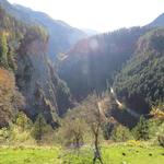 Blick von der Burganlage in die Viamala Schlucht