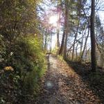 wir haben die Burganlage verlassen und wandern nun links hoch zur Waldstrasse