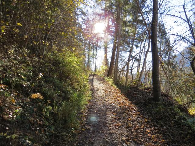 wir haben die Burganlage verlassen und wandern nun links hoch zur Waldstrasse