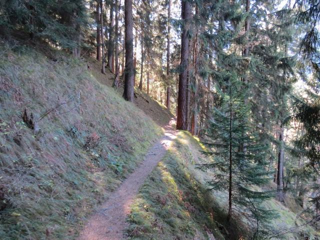 ...führt uns der schöne Waldweg...