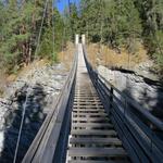 die Brücke hat eine Spannweite von 95 Metern und eine Gehweglänge...