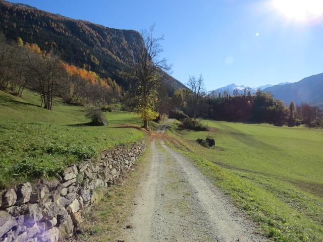 ab hier bis nach Zillis begleitet uns nun eine traumhafte Aussicht