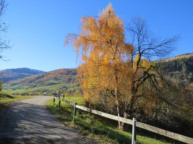 ...auf das Val Schons und das Hinterrheintal