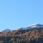 Blick hinauf zum Piz Beverin, den wir schon besucht haben