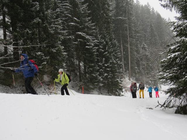 bei Schlifitschuggen 1266 m.ü.M.