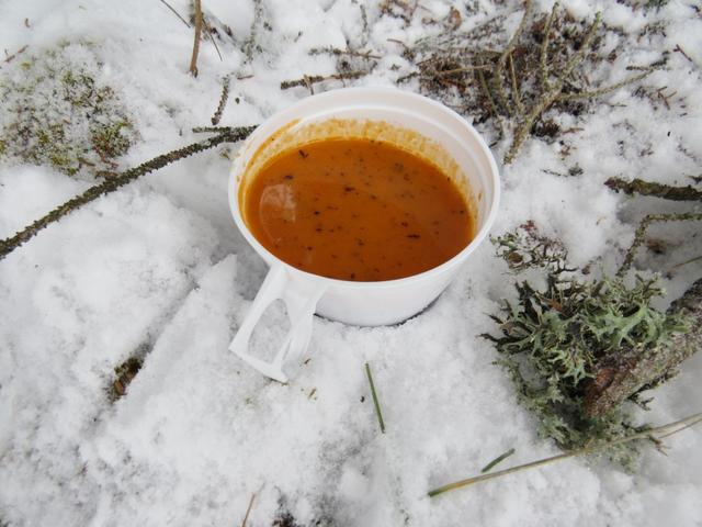 eine sehr gute Suppe darf bei diesen Temperaturen selbstverständlich auch nicht fehlen