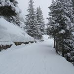 der Weg führt nun dem See entlang Richtung Schlappin