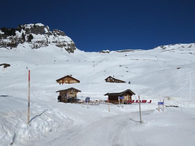 Start unserer heutigen Winterwanderung ist die Bussalp 1796 m.ü.M. oberhalb Grindelwald