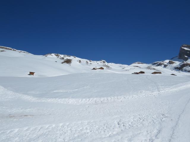 unsere heutige Winterwanderung wird uns hinauf zum Faulhorn führen