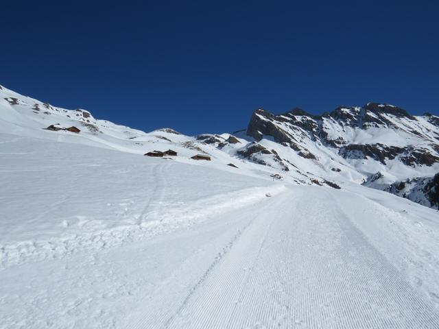 der Winterwanderweg ist zugleich die Schlittelpiste. Das heisst für uns Augen auf