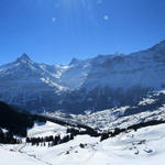 schönes Breitbildfoto mit Wetterhorn, Ewigschneehorn, Schreckhorn, Finsteraarhorn, Eiger, Mönch und Jungfrau