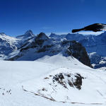sehr schönes Breitbildfoto mit vorbeifliegender Bergdohle