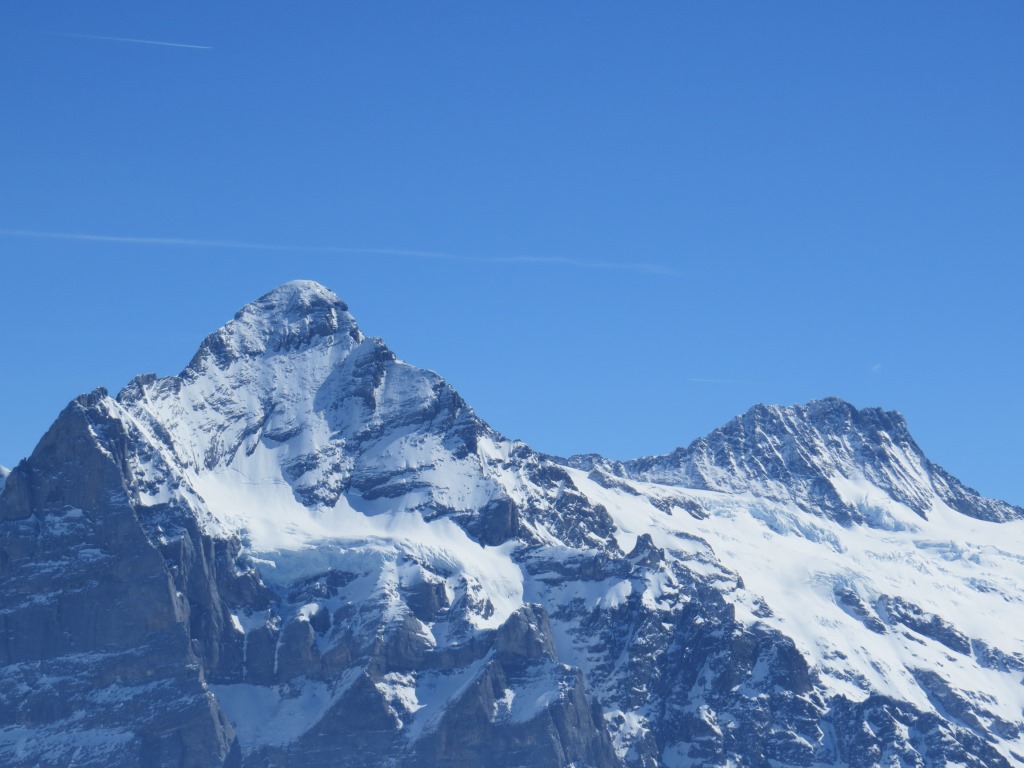 Wetterhorn und Ewigschneehorn