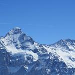 Wetterhorn und Ewigschneehorn