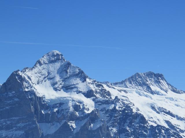 Wetterhorn und Ewigschneehorn