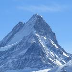 das Schreckhorn. Von der Glecksteinhütte die wir besucht haben, noch imposanter