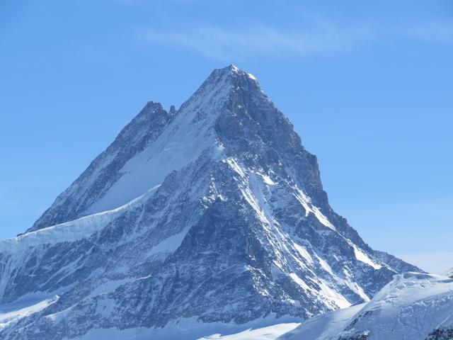 das Schreckhorn. Von der Glecksteinhütte die wir besucht haben, noch imposanter