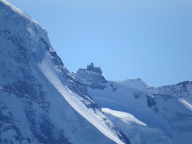 Blick auf das Jungfraujoch. Von dort oben sind wir zur Mönchsjochhütte gelaufen. Einfach einmalig