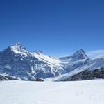 bei der Burgihitta 2439 m.ü.M. mit Blick zum Wetterhorn, Ewigschneehorn und Schreckhorn. Einfach superlativ