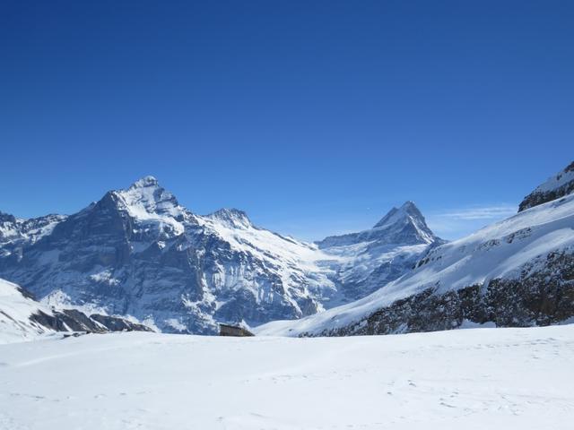 bei der Burgihitta 2439 m.ü.M. mit Blick zum Wetterhorn, Ewigschneehorn und Schreckhorn. Einfach superlativ