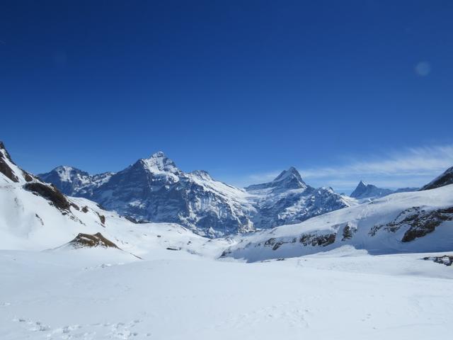 Wellhorn, Wetterhorn, Ewigschneehorn, Schreckhorn und Finsteraarhorn