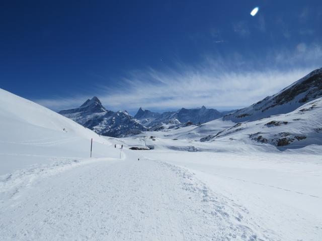 der Winterwanderweg führt einem direkt neben dem Bachsee 2265 m.ü.M.