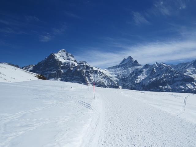 an der Gummihitta 2257 m.ü.M. vorbei, erreichen wir Chämmlisegg 2244 m.ü.M.