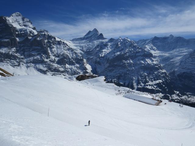 Blick von der Chämmlisegg hinunter zur Bergstation der Firstbahn