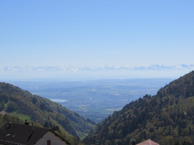 Blick in die Ebene und nach Yverdon. Am Horizont die Berner- und Wadtländer Alpen