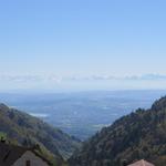 Blick in die Ebene und nach Yverdon. Am Horizont die Berner- und Wadtländer Alpen